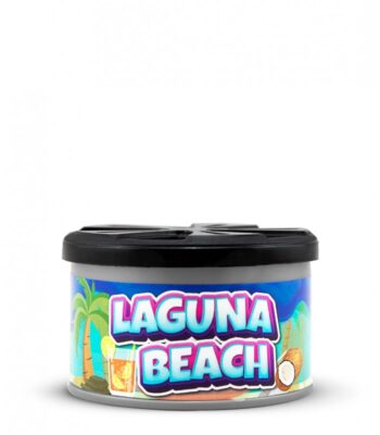 Õhuvärskendaja (LAGUNA BEACH)